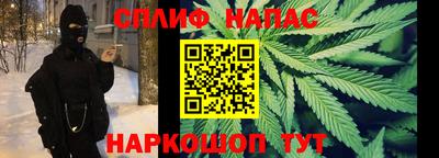 шишки Аргун