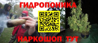 мдпв Апшеронск