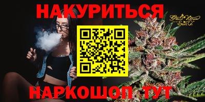 шишки Аргун