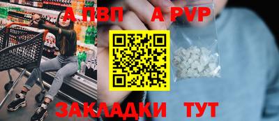 шишки Аргун