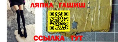 шишки Аргун