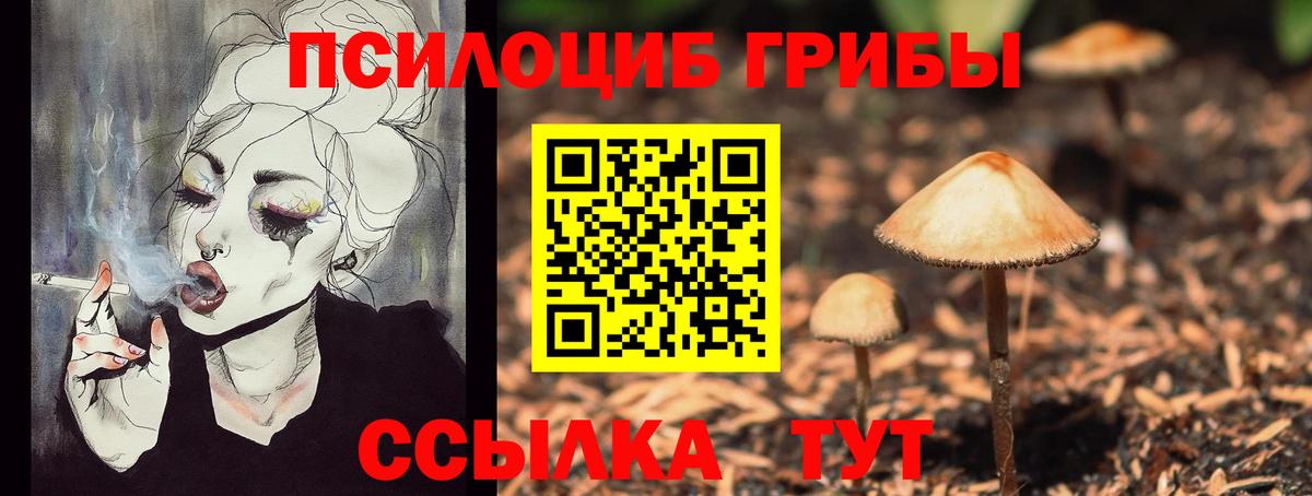 Галлюциногенные грибы ЛСД  Вход с VPN  сколько стоит  Борзя 
